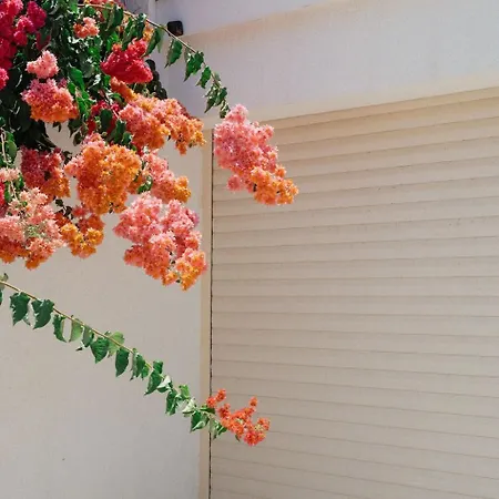 Chlorakas Coastal 3 Bed, Steps To The Sea Klorakas