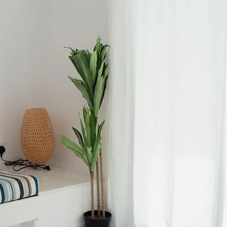 Chlorakas Coastal 3 Bed, Steps To The Sea בית נופש Klorakas